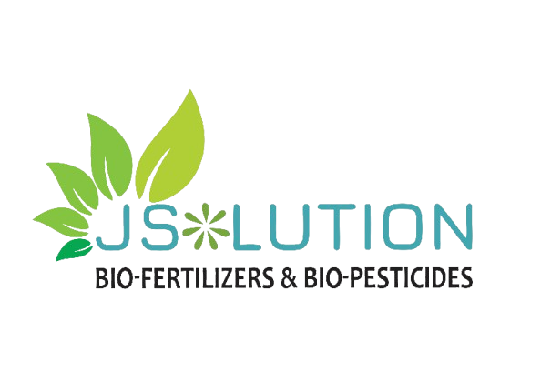 JSolution loading